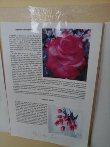 20160407_102937