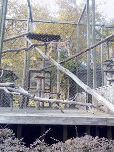 img_20151025_143843_1